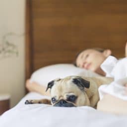woman sleeping in bed with a dog