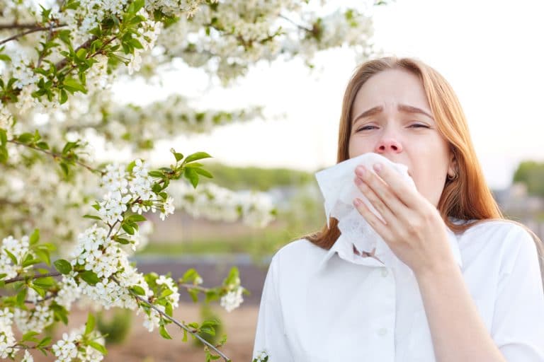 Can a Beetle Help Your Allergies? woman in the middle of sneeze with a tissue to her face, outdoors
