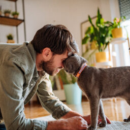 A man and his cat affectionately bump heads at home